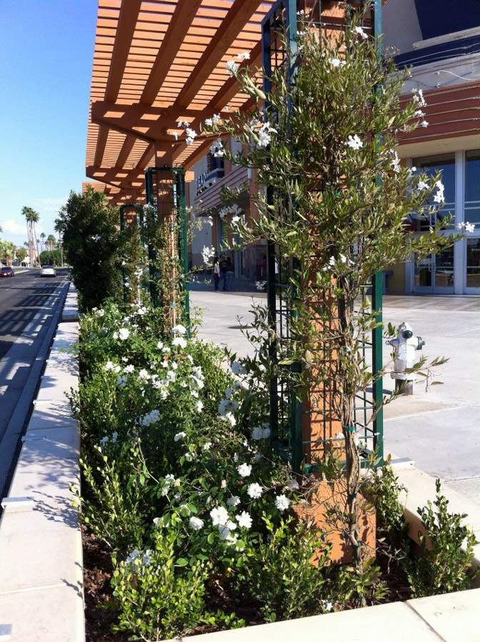sidewalk planter boxes with lattice work overhead downtown city
