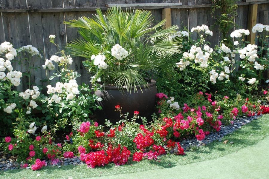 flower garden with potted plant