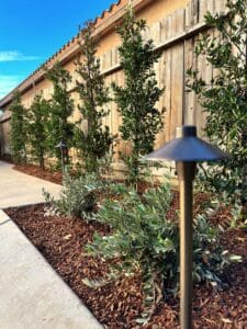 Residential landscaping in Clovis