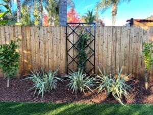Residential landscaping in Clovis