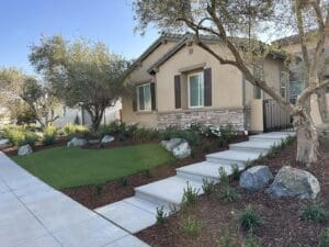 Residential landscaping in Clovis