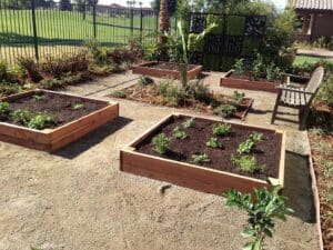 Residential landscaping in Fresno