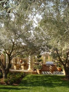 Residential landscaping in Madera