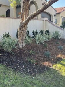 Residential landscaping in Madera
