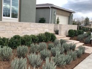 Residential landscaping in Madera